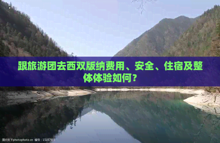 跟旅游团去西双版纳费用、安全、住宿及整体体验如何？