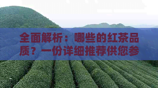 全面解析：哪些的红茶品质？一份详细推荐供您参考