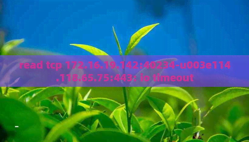 read tcp 172.16.19.142:40234-u003e114.118.65.75:443: io timeout