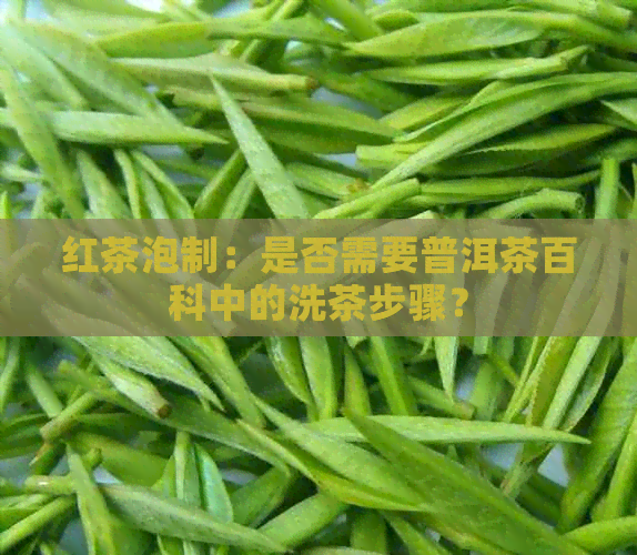 红茶泡制：是否需要普洱茶百科中的洗茶步骤？