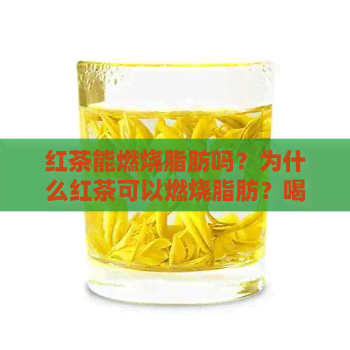 红茶能燃烧脂肪吗？为什么红茶可以燃烧脂肪？喝红茶是否能消耗脂肪？