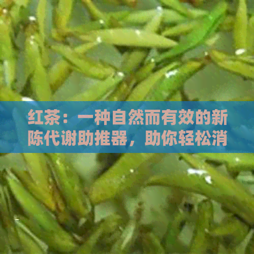 红茶：一种自然而有效的新陈代谢助推器，助你轻松消除脂肪