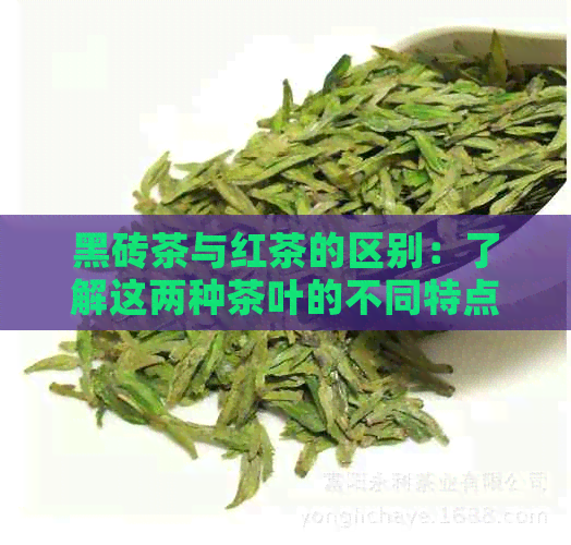 黑砖茶与红茶的区别：了解这两种茶叶的不同特点和制作工艺