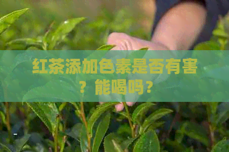 红茶添加色素是否有害？能喝吗？