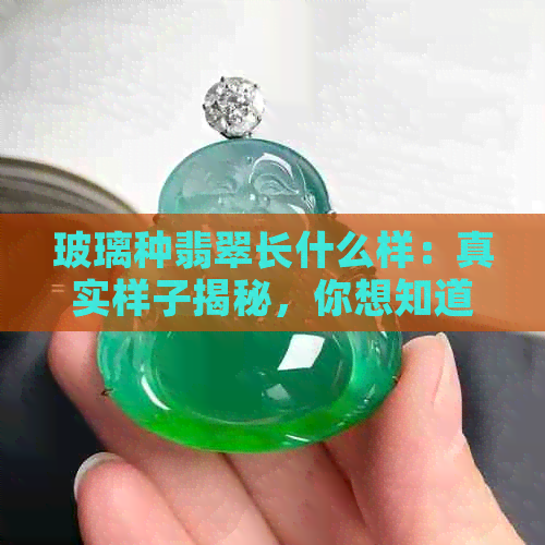 玻璃种翡翠长什么样：真实样子揭秘，你想知道的都在这儿！