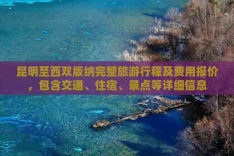 昆明至西双版纳完整旅     程及费用报价，包含交通、住宿、景点等详细信息