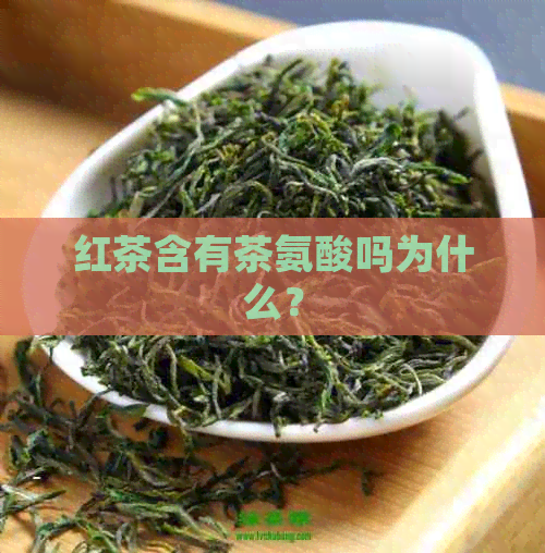 红茶含有茶氨酸吗为什么？