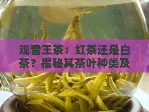 观音王茶：红茶还是白茶？揭秘其茶叶种类及特点