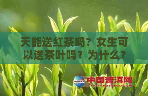 天能送红茶吗？女生可以送茶叶吗？为什么？