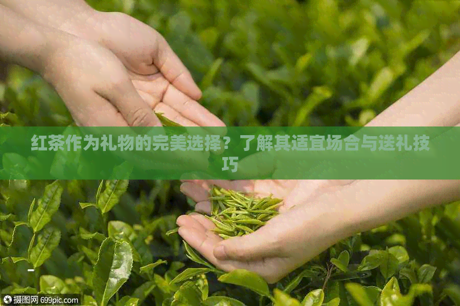 红茶作为礼物的完美选择？了解其适宜场合与送礼技巧