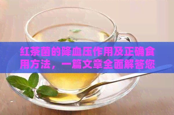 红茶菌的降血压作用及正确食用方法，一篇文章全面解答您的疑惑