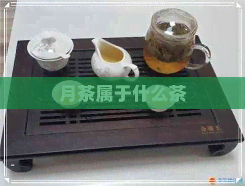 月茶属于什么茶