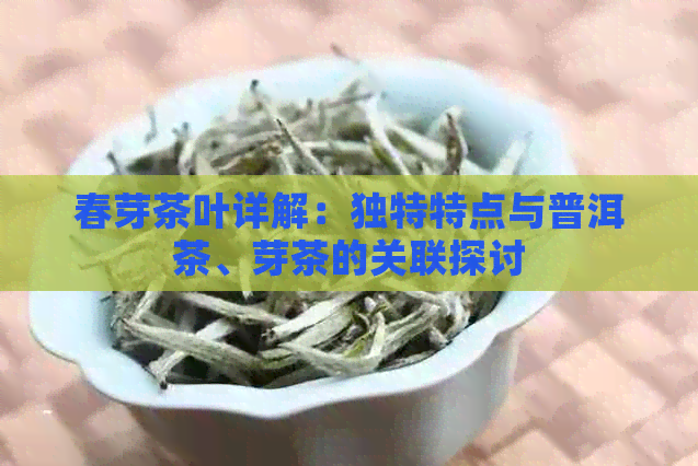 春芽茶叶详解：独特特点与普洱茶、芽茶的关联探讨