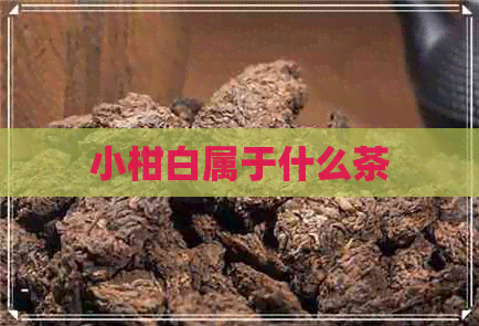 小柑白属于什么茶