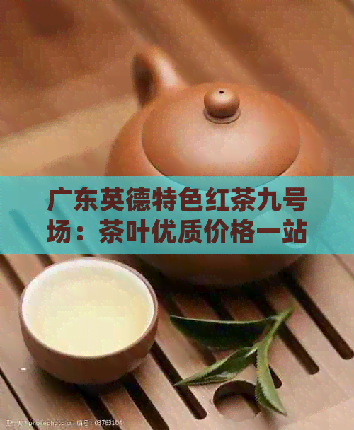 广东英德特色红茶九号场：茶叶优质价格一站搞定