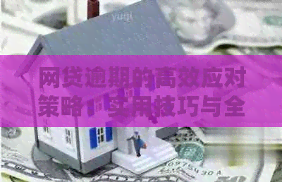 网贷逾期的高效应对策略：实用技巧与全面指南