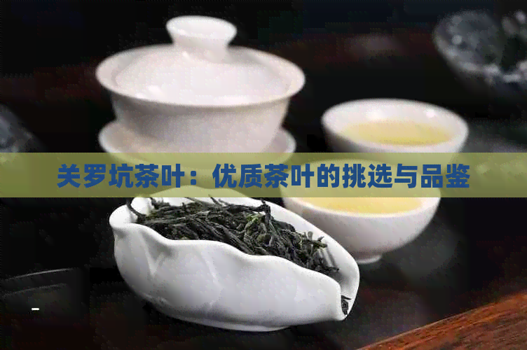 关罗坑茶叶：优质茶叶的挑选与品鉴