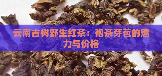 云南古树野生红茶：孢茶芽苞的魅力与价格