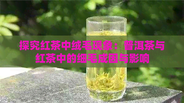 探究红茶中绒毛现象：普洱茶与红茶中的细毛成因与影响