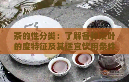 茶的性分类：了解各种茶叶的度特征及其适宜饮用条件