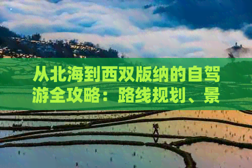 从北海到西双版纳的自驾游全攻略：路线规划、景点推荐、住宿与美食一应俱全