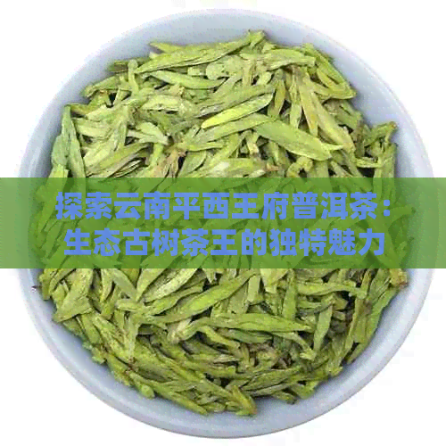 探索云南平西王府普洱茶：生态古树茶王的独特魅力