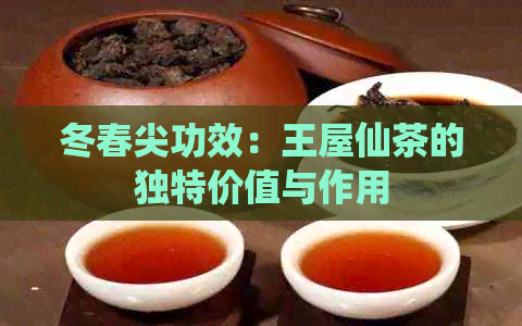 冬春尖功效：王屋仙茶的独特价值与作用