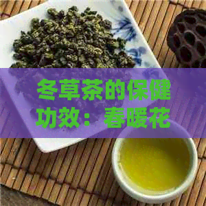 冬草茶的保健功效：春暖花开时的健之道