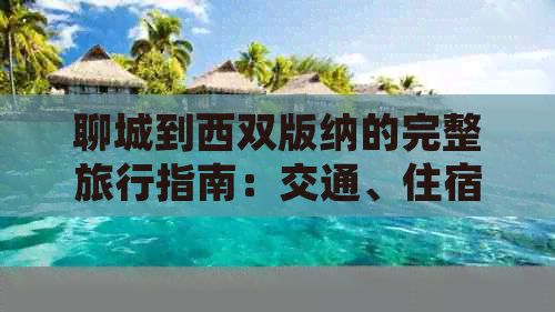 聊城到西双版纳的完整旅行指南：交通、住宿、景点及行程规划