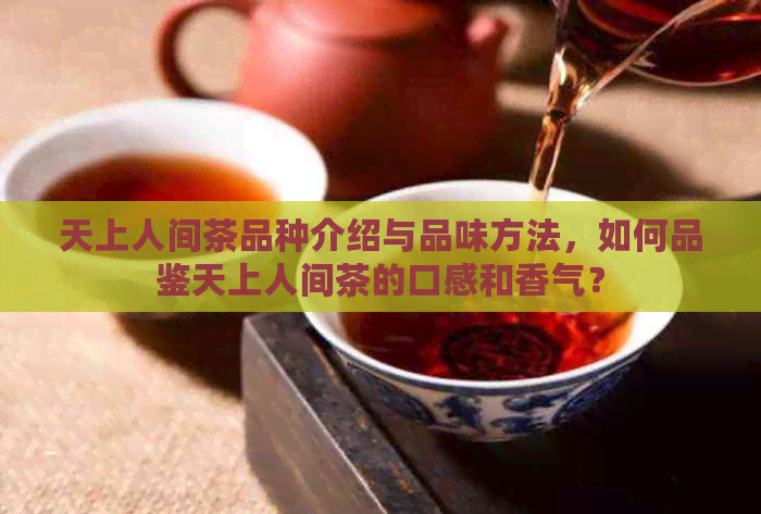 天上人间茶品种介绍与品味方法，如何品鉴天上人间茶的口感和香气？