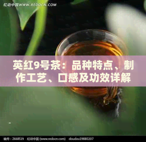 英红9号茶：品种特点、制作工艺、口感及功效详解，如何品鉴和冲泡？