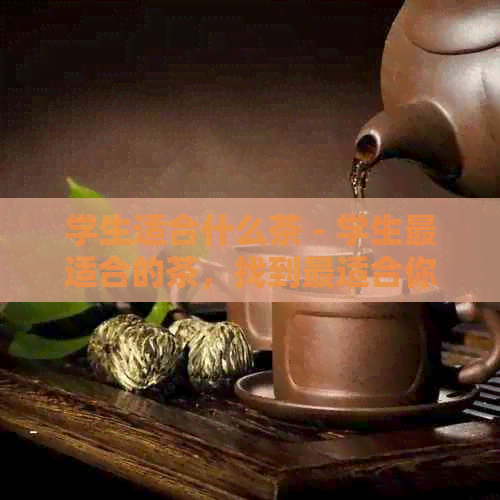 学生适合什么茶 - 学生最适合的茶，找到最适合你的茶