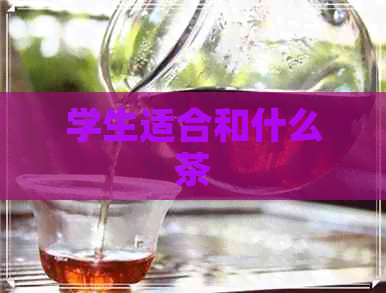 学生适合和什么茶