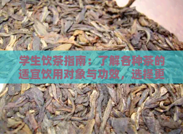 学生饮茶指南：了解各种茶的适宜饮用对象与功效，选择更适合你的茶