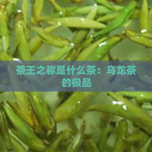 茶王之称是什么茶：乌龙茶的极品