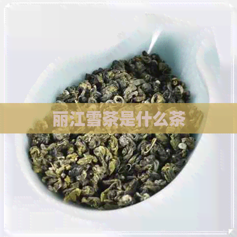 丽江雪茶是什么茶