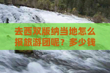 去西双版纳当地怎么报旅游团呢？多少钱？有去西双版纳的旅游团吗？