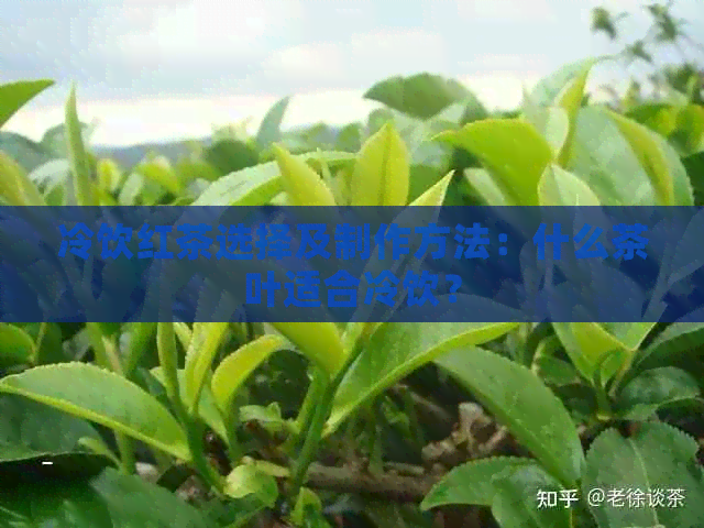 冷饮红茶选择及制作方法：什么茶叶适合冷饮？