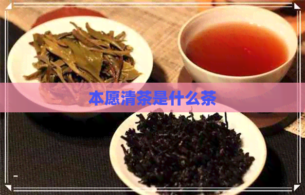 本愿清茶是什么茶