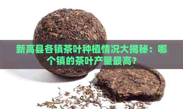 新高县各镇茶叶种植情况大揭秘：哪个镇的茶叶产量更高？