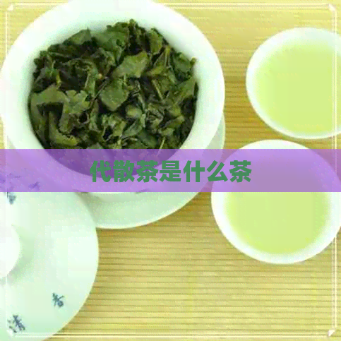 代散茶是什么茶