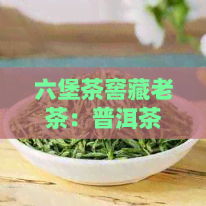 六堡茶窖藏老茶：普洱茶之外的珍贵选择