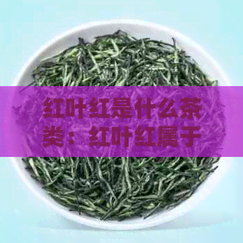 红叶红是什么茶类：红叶红属于什么类型的茶？红叶茶的种类有哪些？