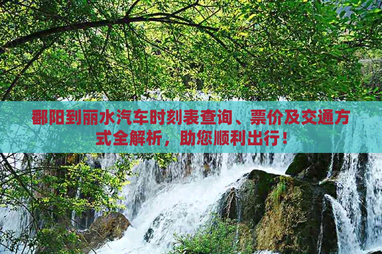 鄱阳到丽水汽车时刻表查询、票价及交通方式全解析，助您顺利出行！