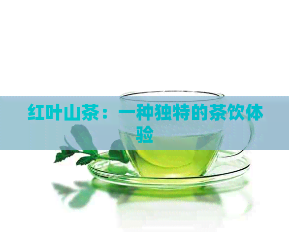 红叶山茶：一种独特的茶饮体验