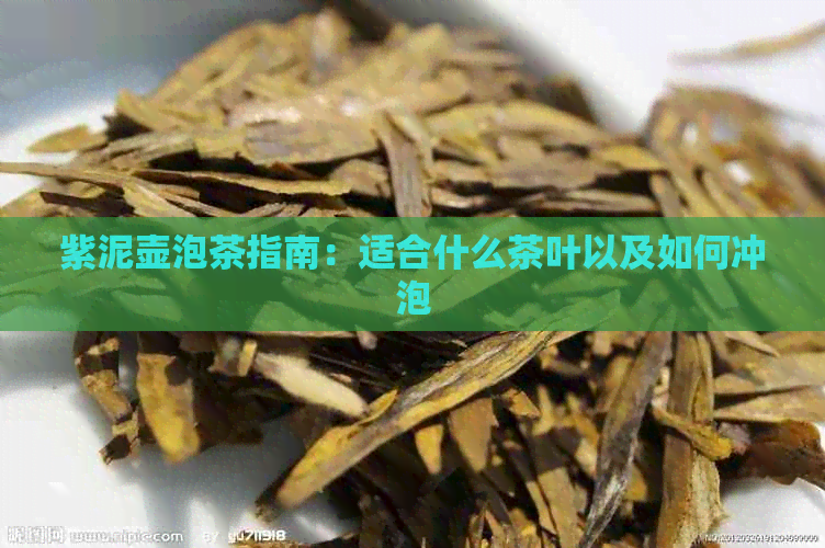 紫泥壶泡茶指南：适合什么茶叶以及如何冲泡