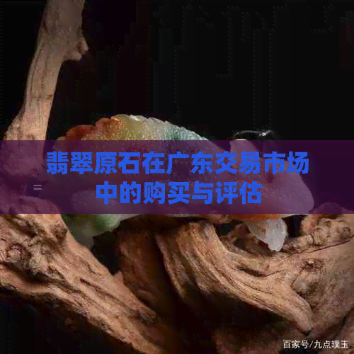 翡翠原石在广东交易市场中的购买与评估