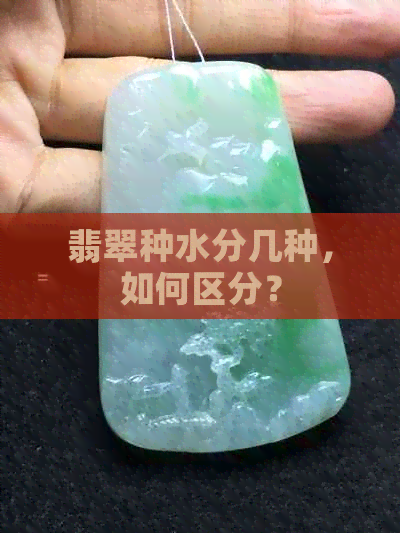 翡翠种水分几种，如何区分？