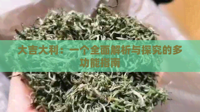 大吉大利：一个全面解析与探究的多功能指南