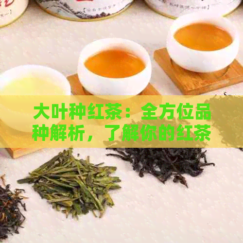 大叶种红茶：全方位品种解析，了解你的红茶世界